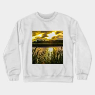 Illumination Crewneck Sweatshirt